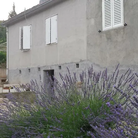 Authentic Hvar Guest house *