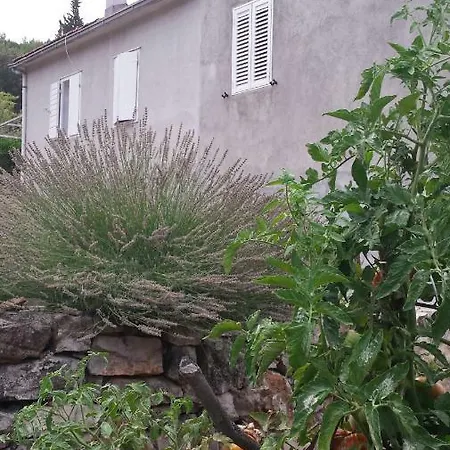 Authentic Hvar Guest house