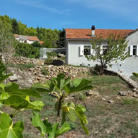 Authentic Hvar Vrbanj